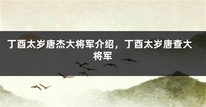 丁酉太岁唐杰大将军介绍，丁酉太岁唐查大将军