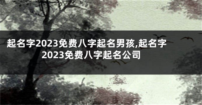 起名字2023免费八字起名男孩,起名字2023免费八字起名公司