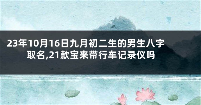 23年10月16日九月初二生的男生八字取名,21款宝来带行车记录仪吗