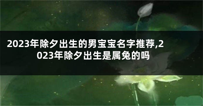 2023年除夕出生的男宝宝名字推荐,2023年除夕出生是属兔的吗