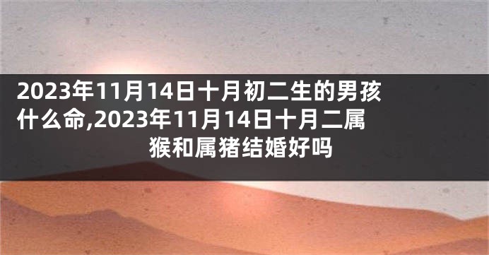 2023年11月14日十月初二生的男孩什么命,2023年11月14日十月二属猴和属猪结婚好吗