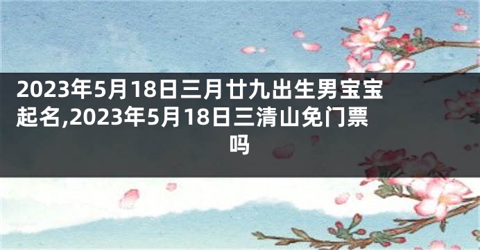 2023年5月18日三月廿九出生男宝宝起名,2023年5月18日三清山免门票吗