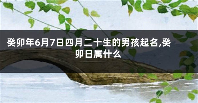 癸卯年6月7日四月二十生的男孩起名,癸卯日属什么