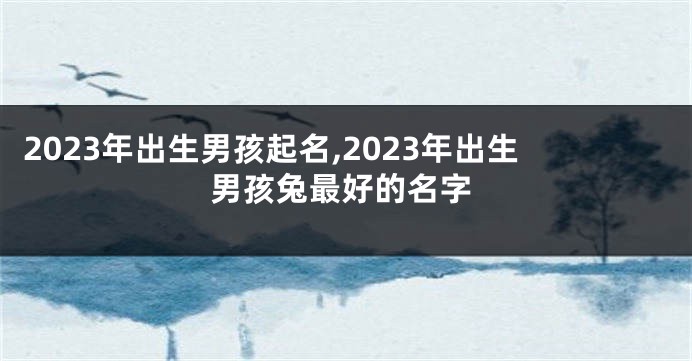 2023年出生男孩起名,2023年出生男孩兔最好的名字