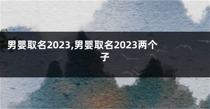 男婴取名2023,男婴取名2023两个子