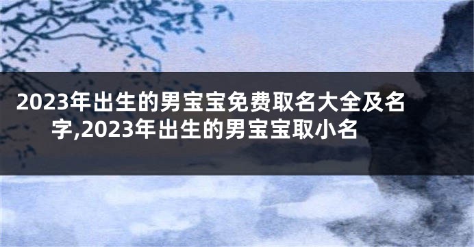 2023年出生的男宝宝免费取名大全及名字,2023年出生的男宝宝取小名