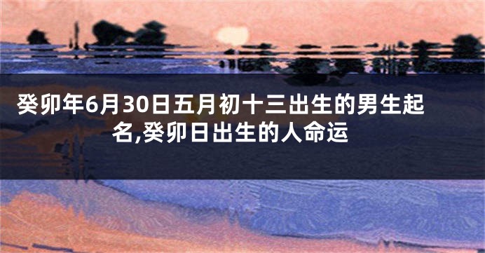 癸卯年6月30日五月初十三出生的男生起名,癸卯日出生的人命运