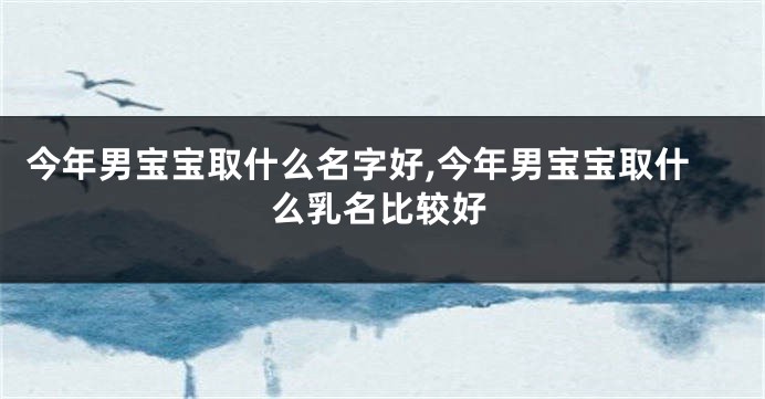 今年男宝宝取什么名字好,今年男宝宝取什么乳名比较好