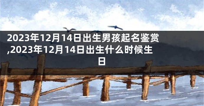 2023年12月14日出生男孩起名鉴赏,2023年12月14日出生什么时候生日