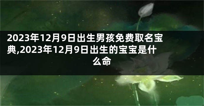 2023年12月9日出生男孩免费取名宝典,2023年12月9日出生的宝宝是什么命