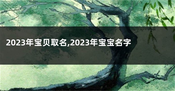 2023年宝贝取名,2023年宝宝名字