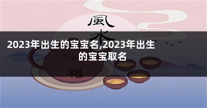 2023年出生的宝宝名,2023年出生的宝宝取名