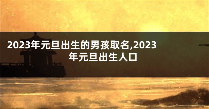 2023年元旦出生的男孩取名,2023年元旦出生人口