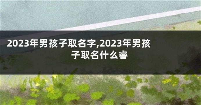 2023年男孩子取名字,2023年男孩子取名什么睿