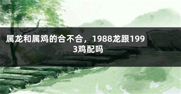 属龙和属鸡的合不合，1988龙跟1993鸡配吗