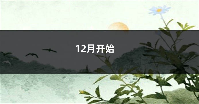 12月开始