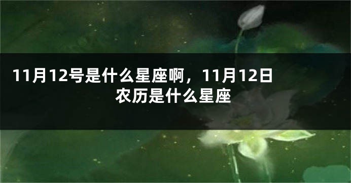 11月12号是什么星座啊，11月12日农历是什么星座