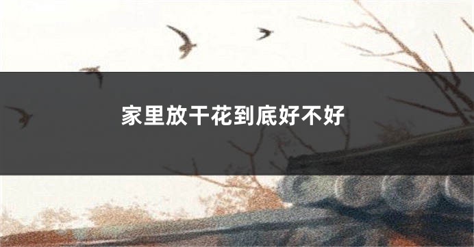 家里放干花到底好不好