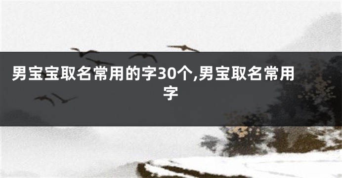 男宝宝取名常用的字30个,男宝取名常用字