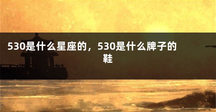 530是什么星座的，530是什么牌子的鞋