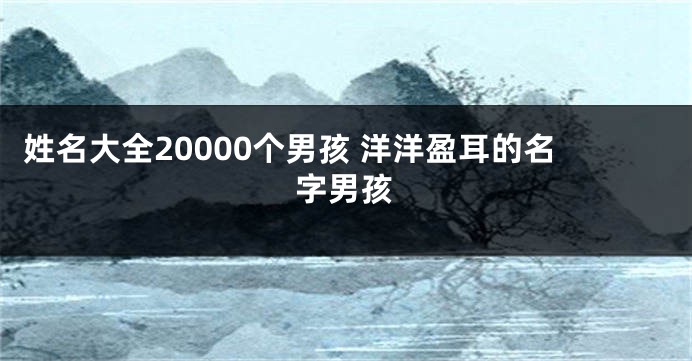 姓名大全20000个男孩 洋洋盈耳的名字男孩