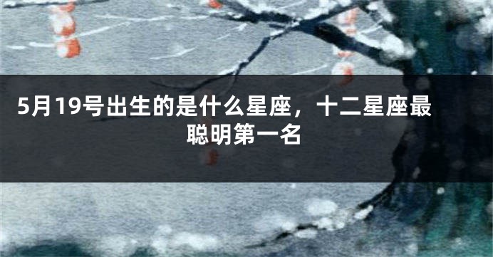 5月19号出生的是什么星座，十二星座最聪明第一名