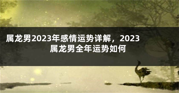 属龙男2023年感情运势详解，2023属龙男全年运势如何