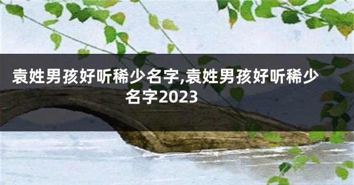 袁姓男孩好听稀少名字,袁姓男孩好听稀少名字2023