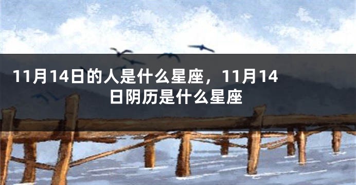 11月14日的人是什么星座，11月14日阴历是什么星座