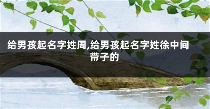 给男孩起名字姓周,给男孩起名字姓徐中间带子的