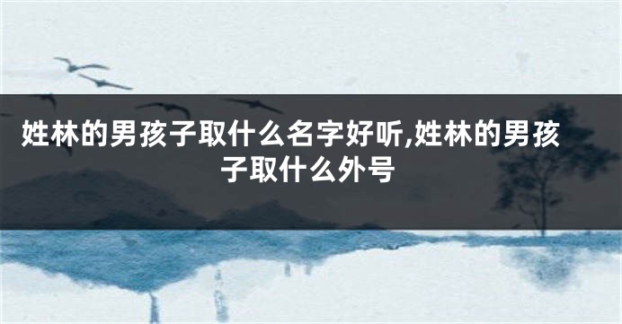 姓林的男孩子取什么名字好听,姓林的男孩子取什么外号