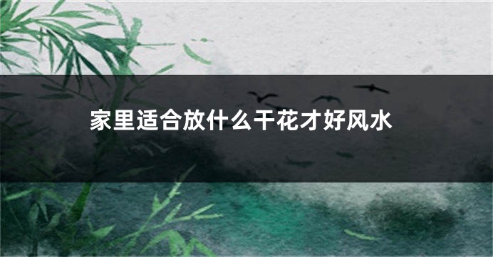 家里适合放什么干花才好风水