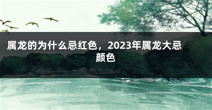 属龙的为什么忌红色，2023年属龙大忌颜色