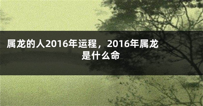 属龙的人2016年运程，2016年属龙是什么命