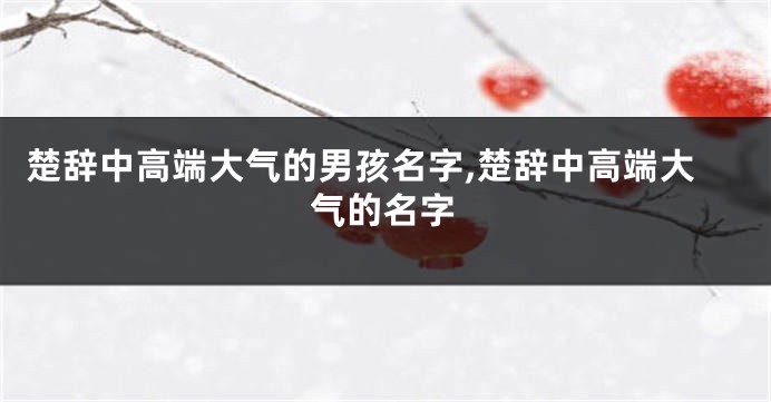 楚辞中高端大气的男孩名字,楚辞中高端大气的名字