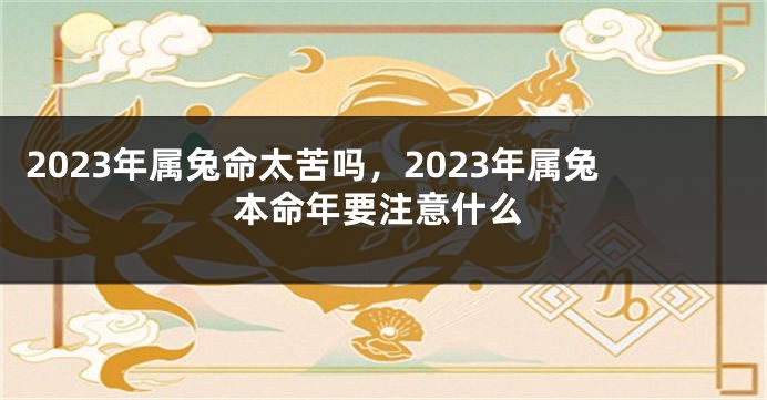 2023年属兔命太苦吗，2023年属兔本命年要注意什么