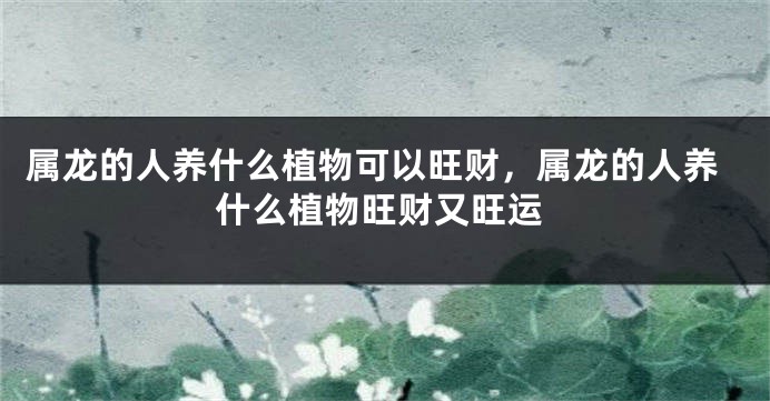 属龙的人养什么植物可以旺财，属龙的人养什么植物旺财又旺运