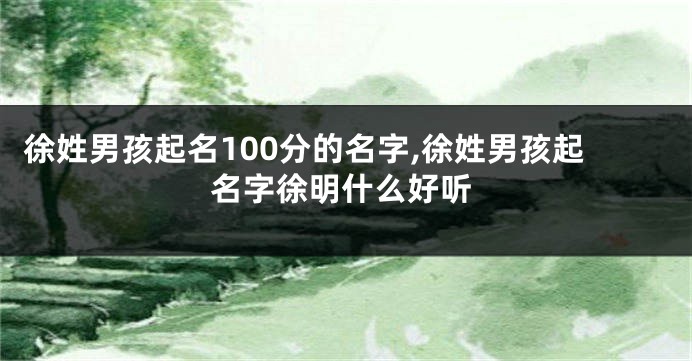 徐姓男孩起名100分的名字,徐姓男孩起名字徐明什么好听