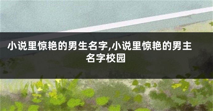 小说里惊艳的男生名字,小说里惊艳的男主名字校园