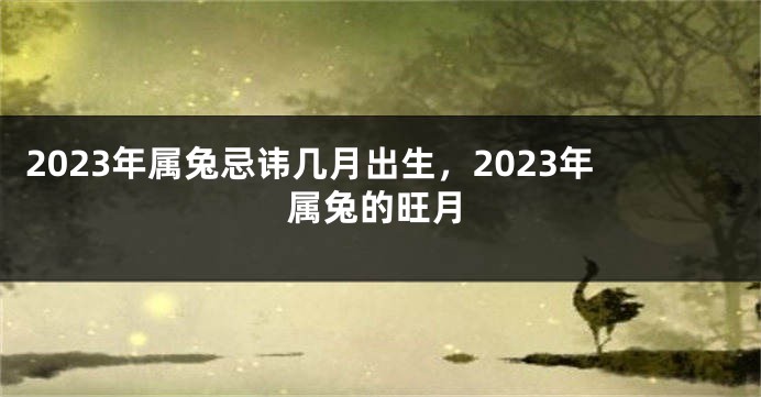 2023年属兔忌讳几月出生，2023年属兔的旺月