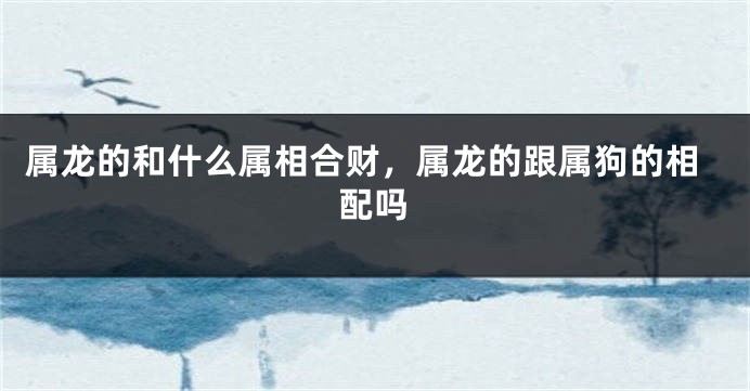 属龙的和什么属相合财，属龙的跟属狗的相配吗