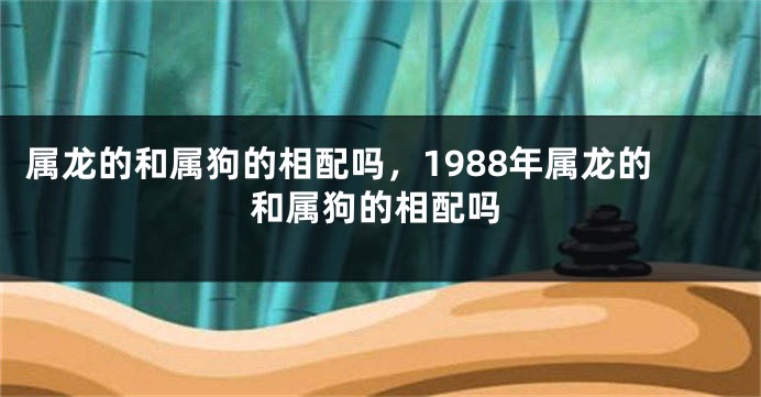 属龙的和属狗的相配吗，1988年属龙的和属狗的相配吗