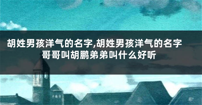 胡姓男孩洋气的名字,胡姓男孩洋气的名字哥哥叫胡鹏弟弟叫什么好听