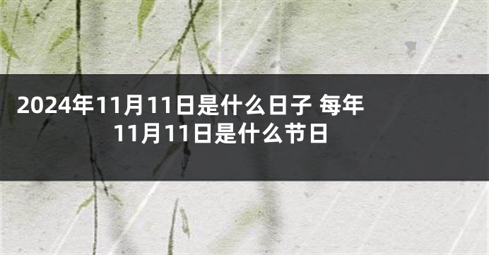 2024年11月11日是什么日子 每年11月11日是什么节日