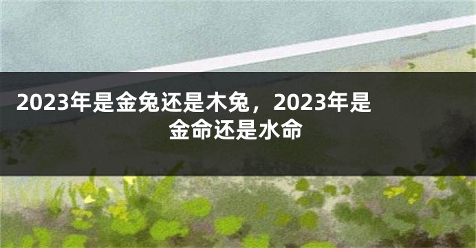 2023年是金兔还是木兔，2023年是金命还是水命