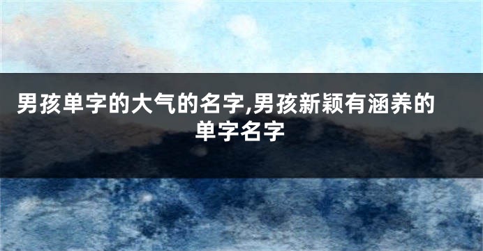 男孩单字的大气的名字,男孩新颖有涵养的单字名字