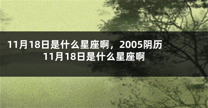 11月18日是什么星座啊，2005阴历11月18日是什么星座啊