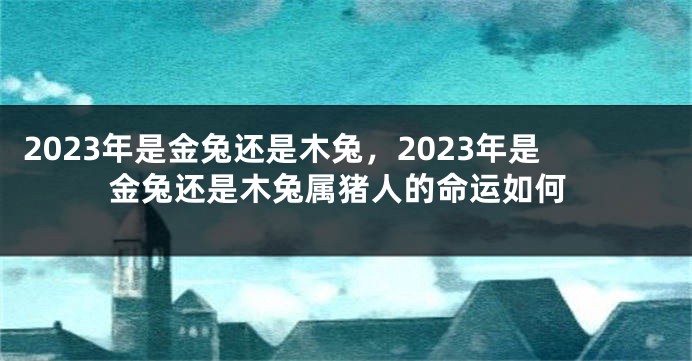 2023年是金兔还是木兔，2023年是金兔还是木兔属猪人的命运如何