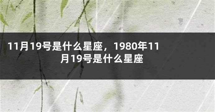 11月19号是什么星座，1980年11月19号是什么星座