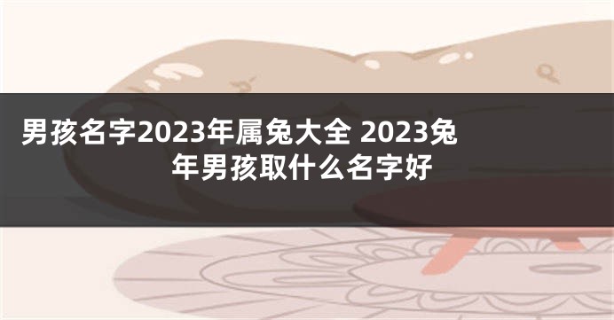 男孩名字2023年属兔大全 2023兔年男孩取什么名字好